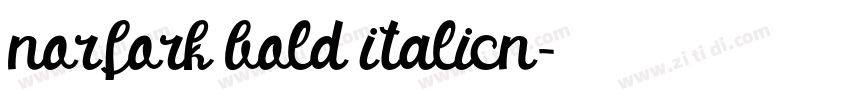 norfork bold italicn字体转换